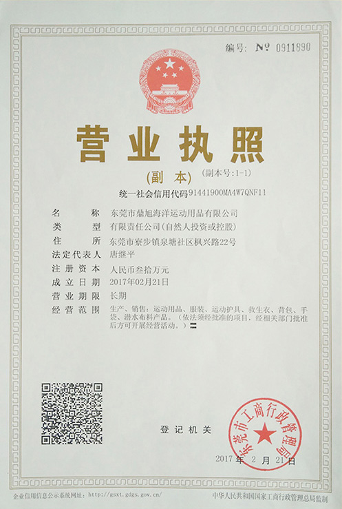 Business License